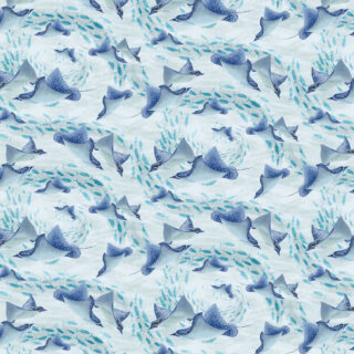 Bay Blue Spotted Eagle Rays