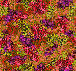TREASURES AT SEA - CORAL