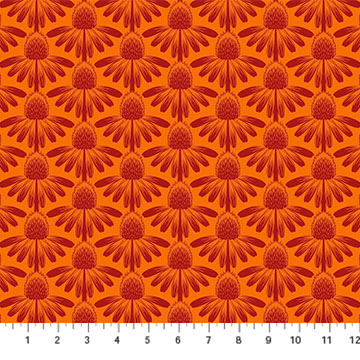 Coneflower Tangerine