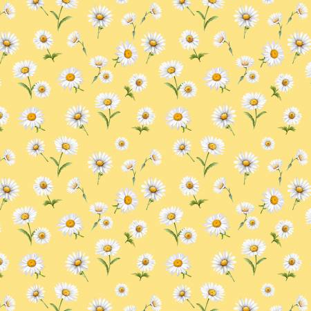 Yellow Tossed Daisies
