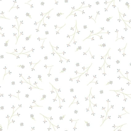 Kimberbell Basics Refreshed