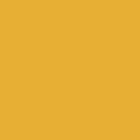 Sunflower 24/7 Solid